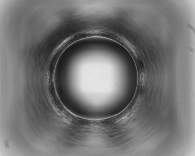 X0000099430724200805091249