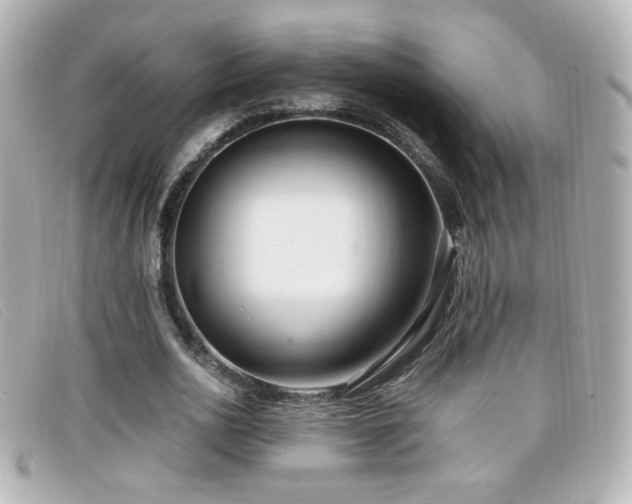 X0000099430726200805091249