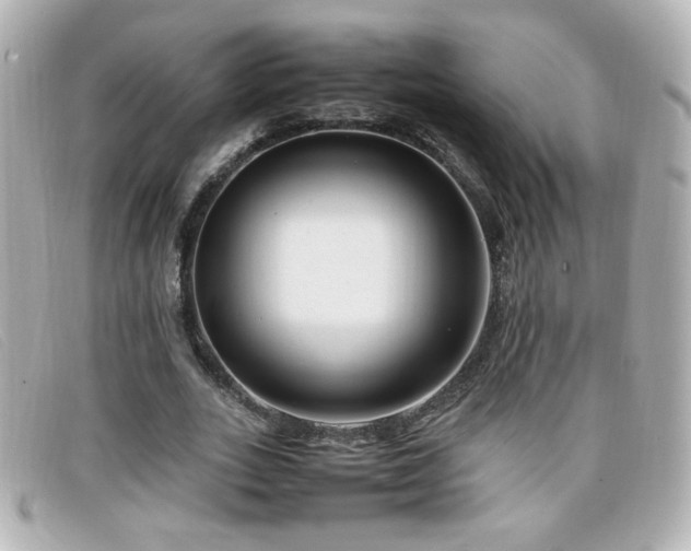 X0000099430727200805091249
