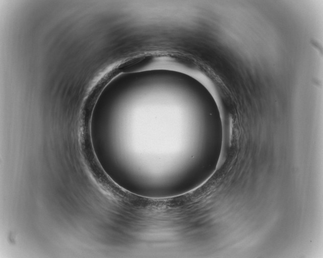 X0000099430728200805091249