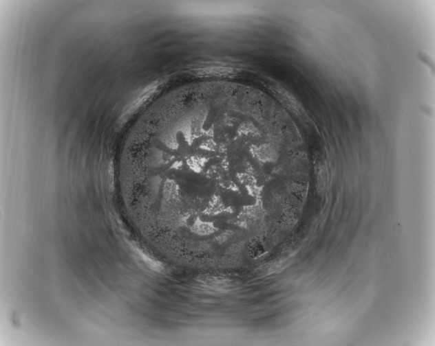 X0000099430729200805091249
