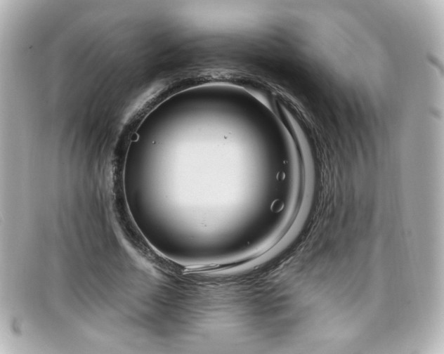 X0000099430730200805091249