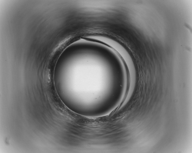 X0000099430731200805091249