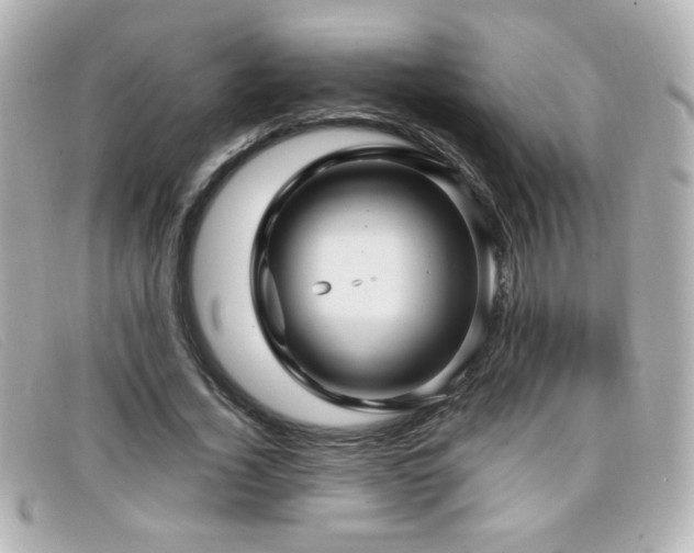 X0000099430732200805091249