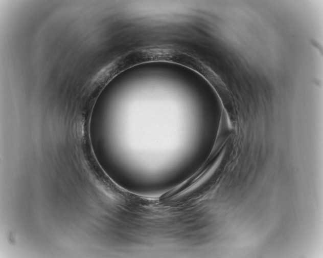 X0000099430733200805091249
