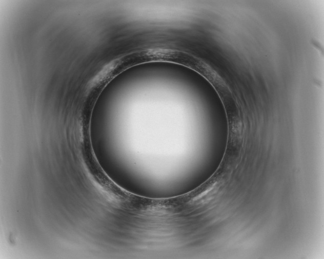 X0000099430734200805091249