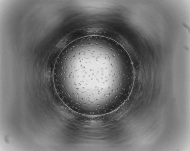 X0000099430737200805091250