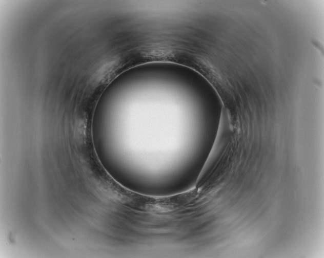 X0000099430739200805091250