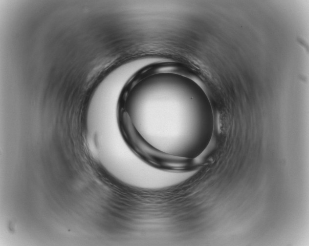 X0000099430740200805091250