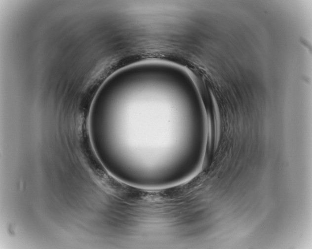 X0000099430742200805091250