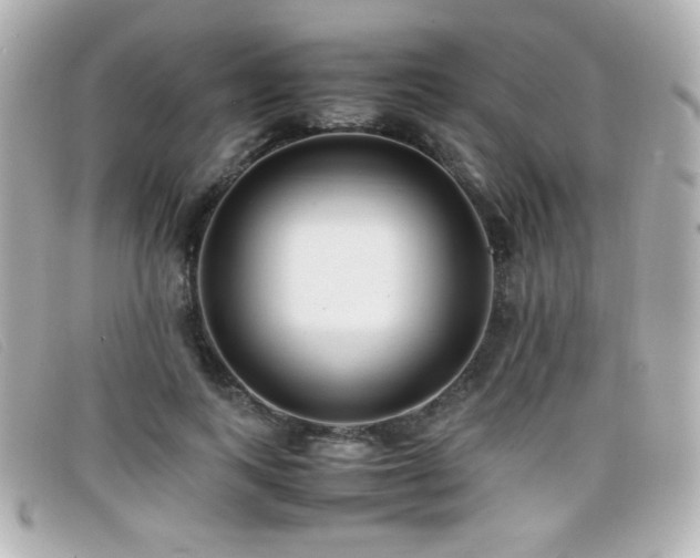 X0000099430743200805091250