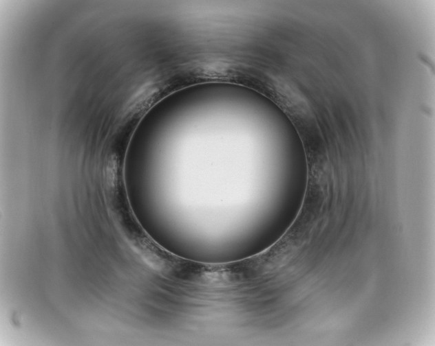 X0000099430744200805091250