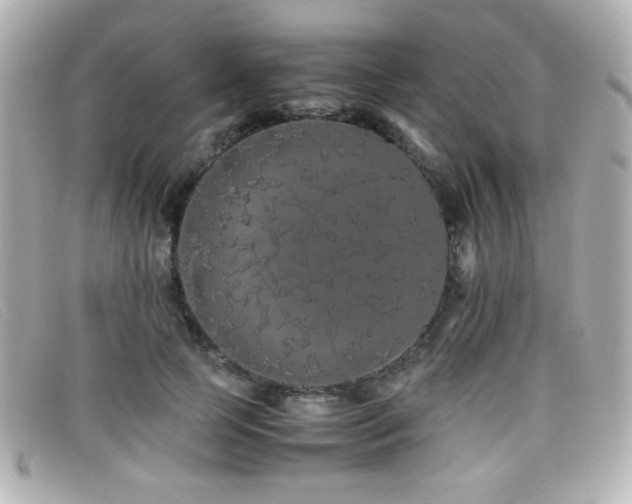 X0000099430745200805091250