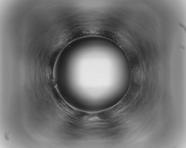 X0000099430747200805091250