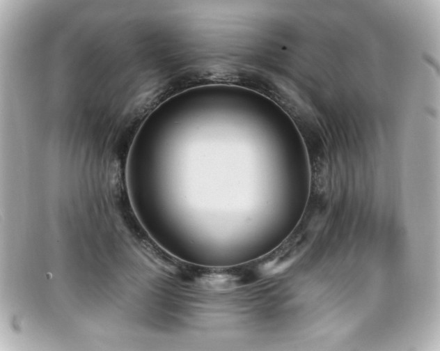 X0000099430748200805091250