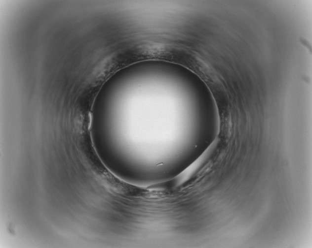 X0000099430750200805091250