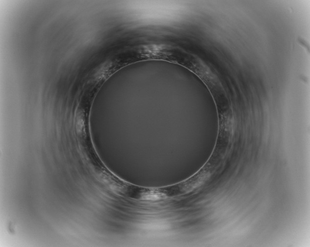 X0000099430754200805091250