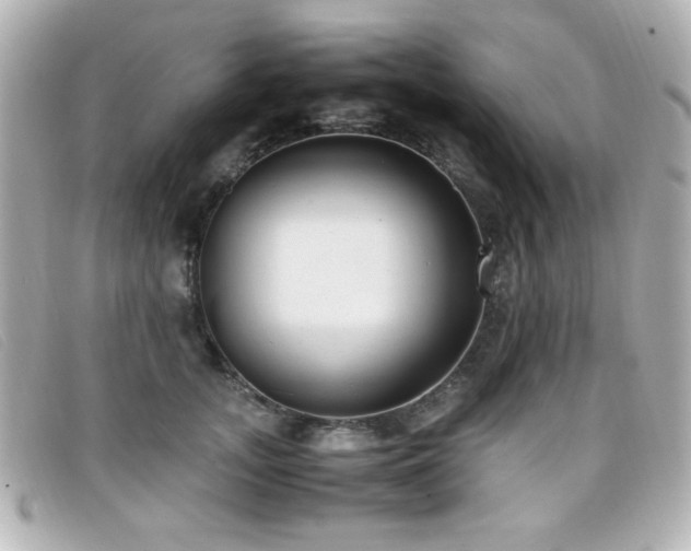X0000099430755200805091250