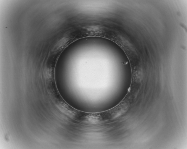 X0000099430756200805091250