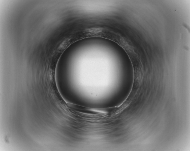 X0000099430758200805091250