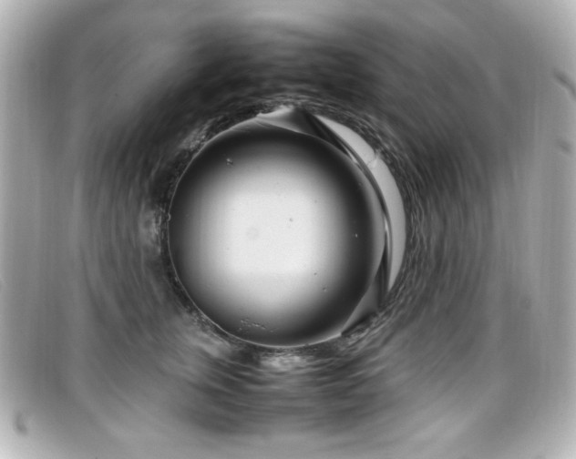 X0000099430759200805091250