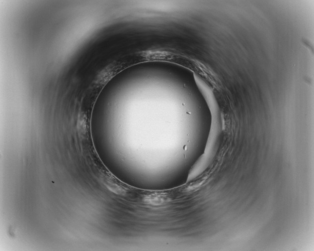 X0000099430761200805091250