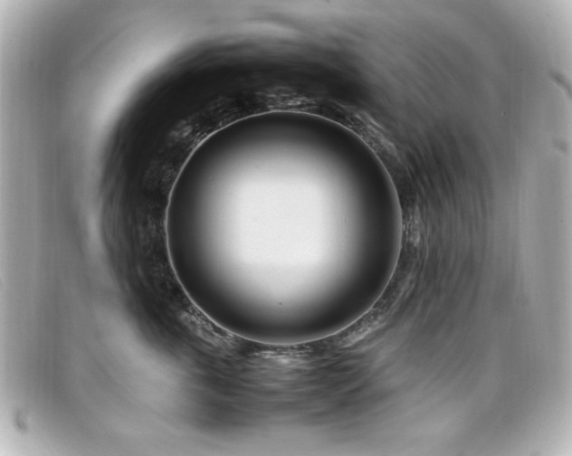 X0000099430763200805091250