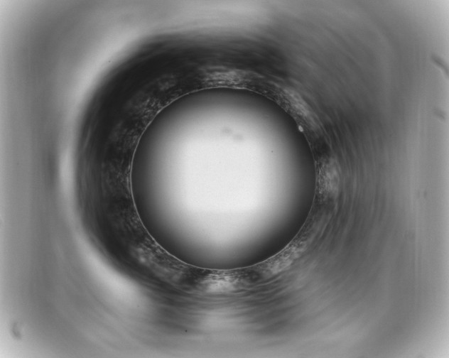 X0000099430764200805091250