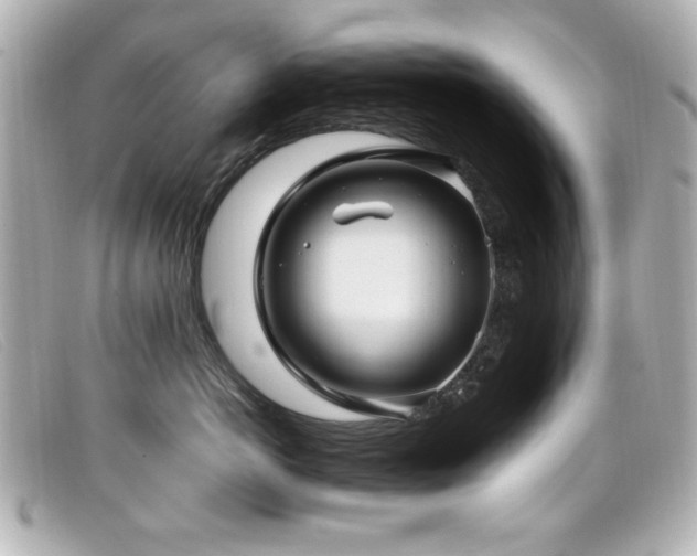 X0000099430766200805091250