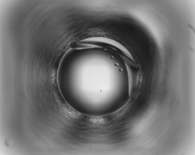 X0000099430767200805091250