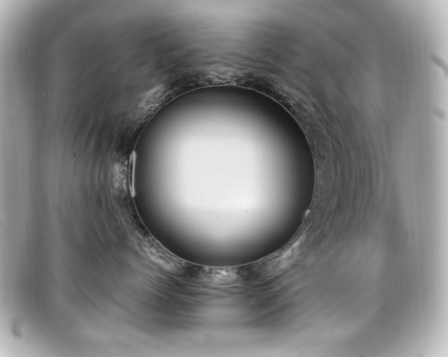 X0000099430768200805091250