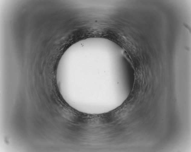 X0000099430769200805091249