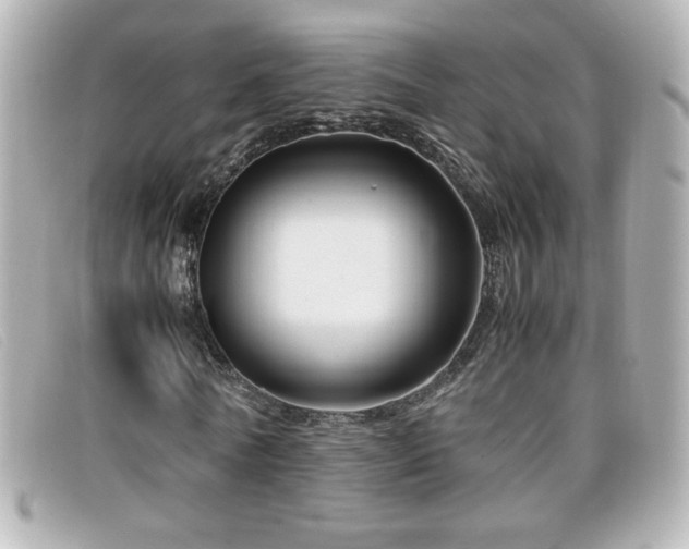 X0000099430770200805091249