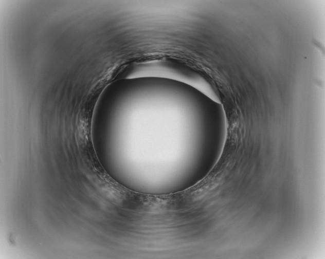 X0000099430772200805091249