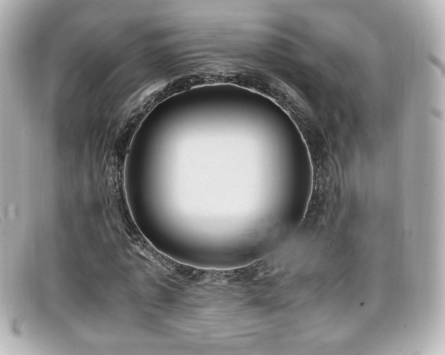 X0000099430773200805091249
