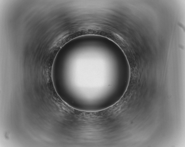 X0000099430774200805091249