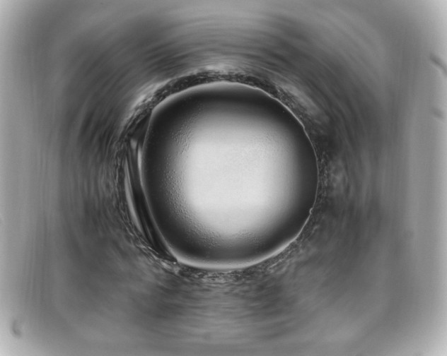 X0000099430776200805091249