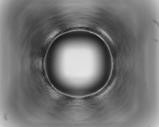 X0000099430777200805091249
