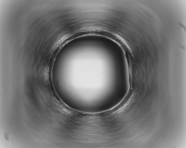 X0000099430778200805091249