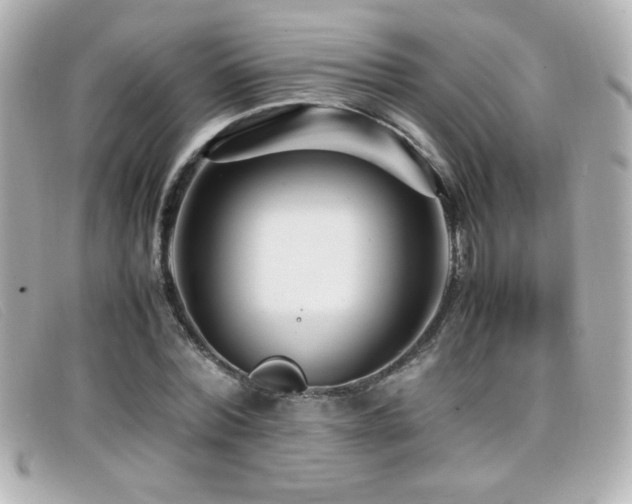 X0000099430780200805091249