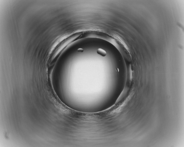 X0000099430781200805091249