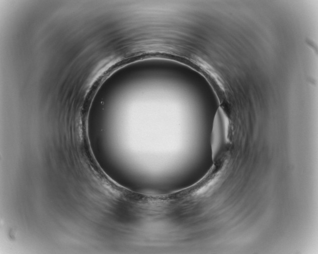 X0000099430782200805091249