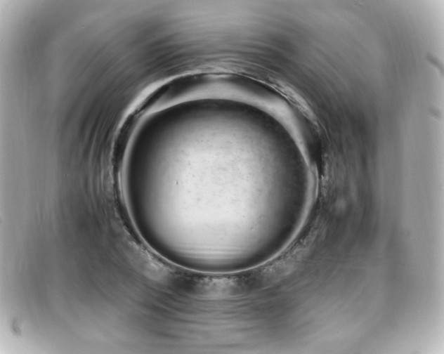 X0000099430784200805091249