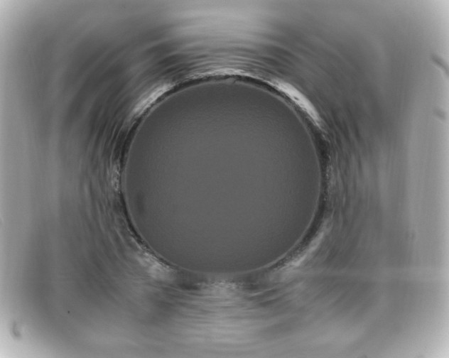 X0000099430785200805091249