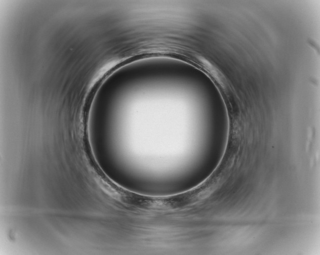 X0000099430787200805091249