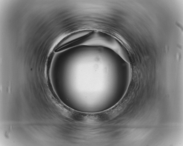 X0000099430788200805091249