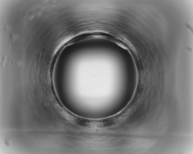 X0000099430789200805091249
