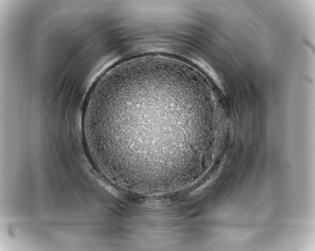 X0000099430790200805091249