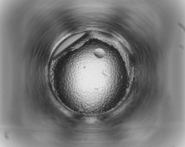 X0000099430798200805091249