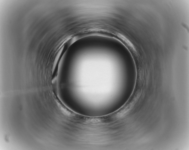 X0000099430801200805091249